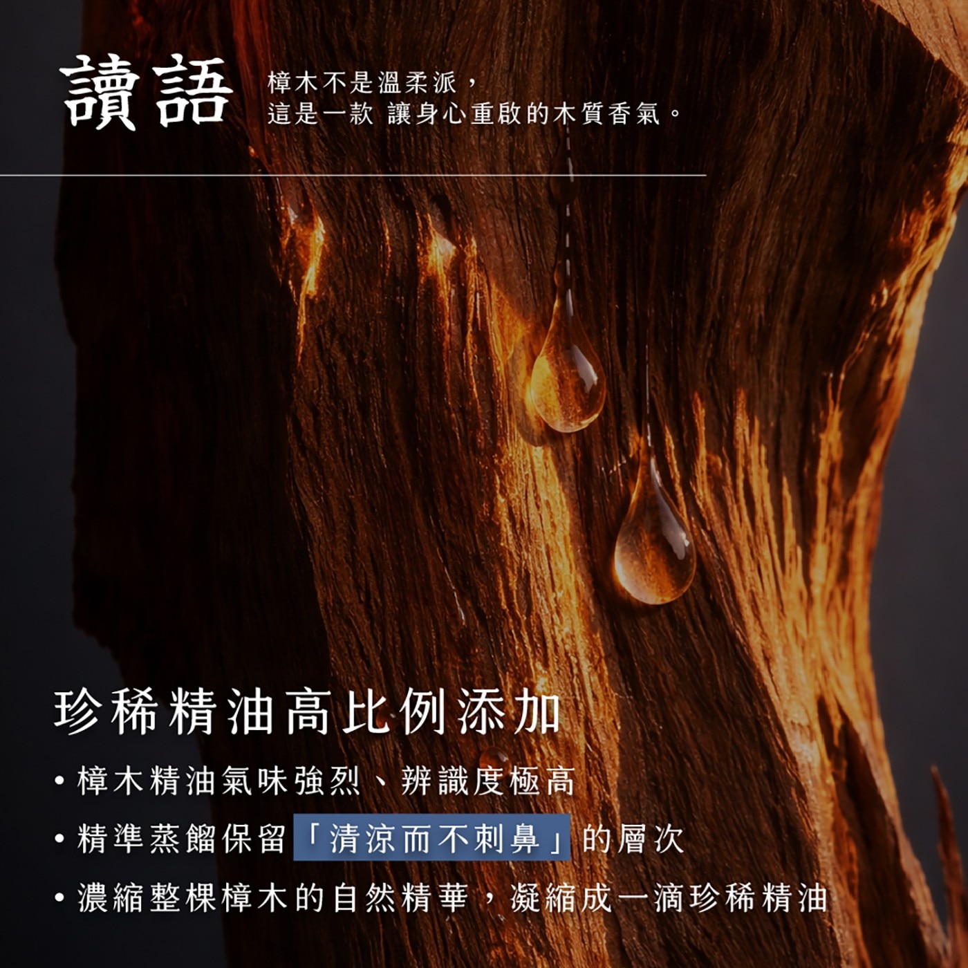 珍稀精油高比例添加 ·樟木精油氣味強烈、辨識度極高 ·精準蒸餾保留 