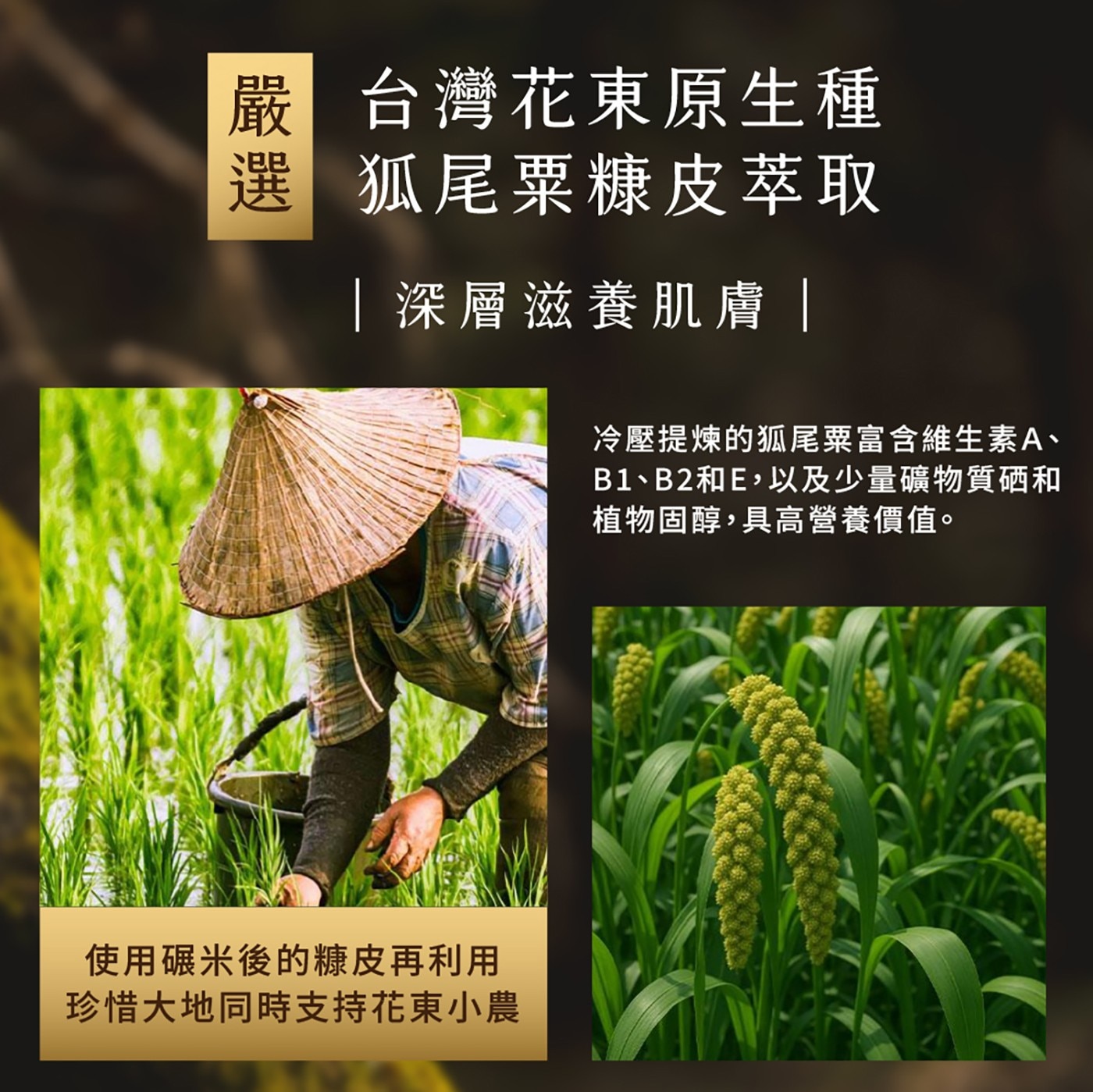 台灣花東原生種 狐尾粟糠皮萃取 |深層滋養肌膚| 冷壓提煉的狐尾粟富含維生素A、 B1、B2和E,以及少量礦物質硒和 植物固醇,具高營養價值。