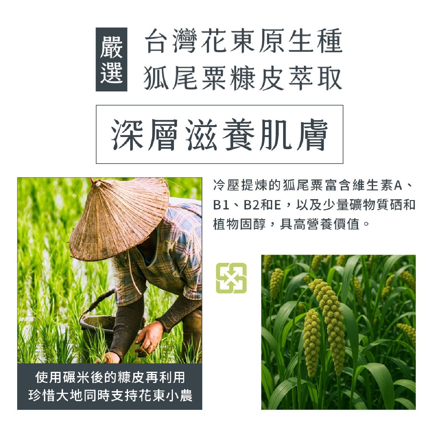 台灣花東原生種 狐尾粟糠皮萃取 深層滋養肌膚 冷壓提煉的狐尾粟富含維生素A、 B1、B2和E,以及少量礦物質硒和 植物固醇,具高營養價值。