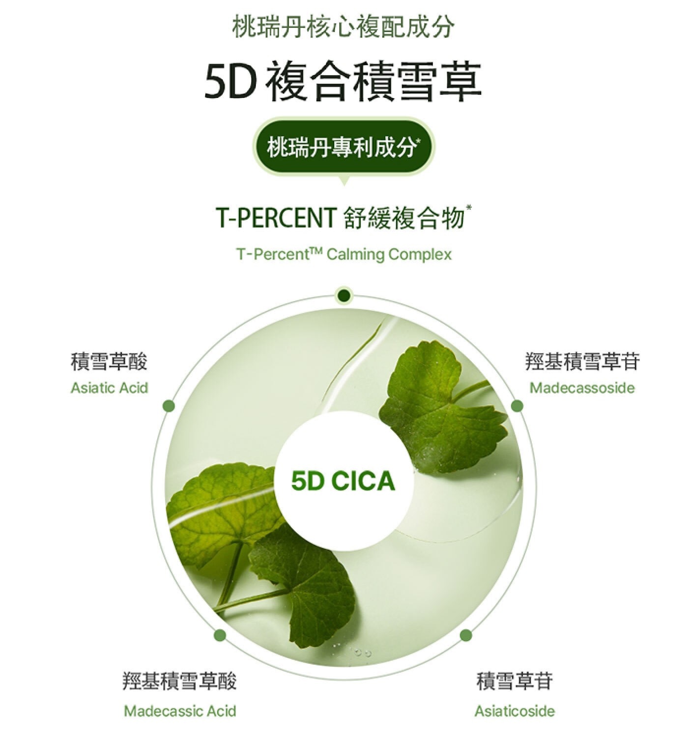 桃瑞丹核心複配成分 5D複合積雪草 桃瑞丹專利成分 T-PERCENT 舒緩複合物 T-Percent™ Calming Complex