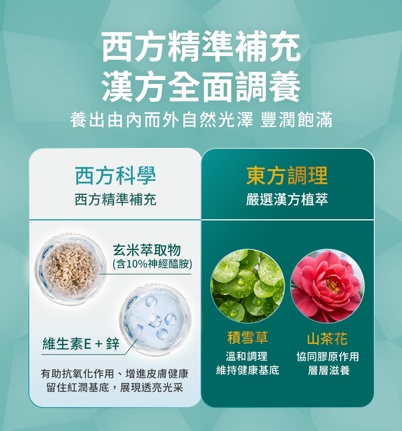 500Da 微分子 吸收速度快4倍 它牌 1般分子 2000-3000 Da 膠原美顏飲 The
