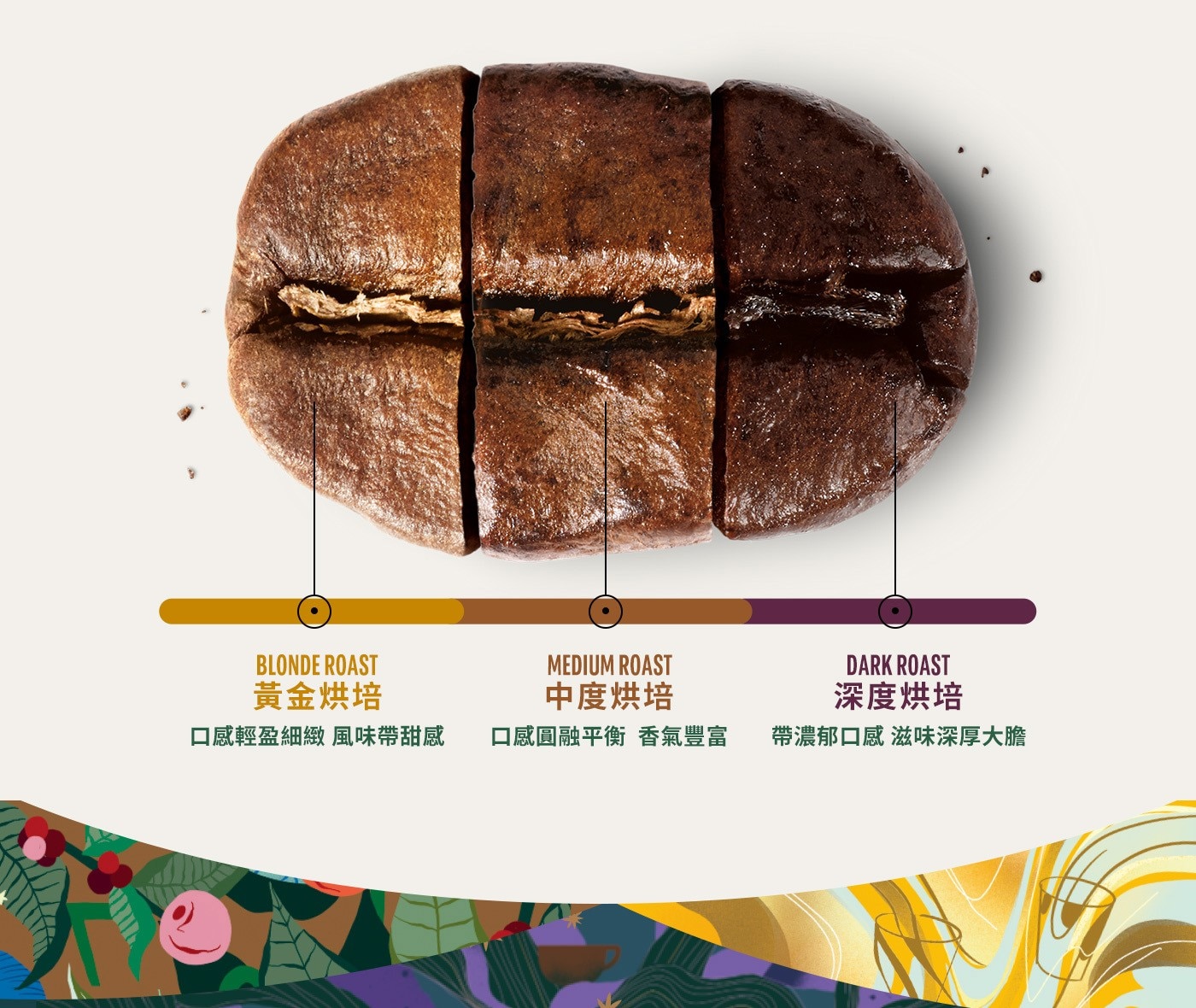 BLONDE ROAST 黃金烘培 口感輕盈細緻 風味帶甜感 MEDIUM 中度烘培 口感圓融平衡 香氣豐富 DARK 深度烘培 帶濃郁口感 滋味深厚大膽