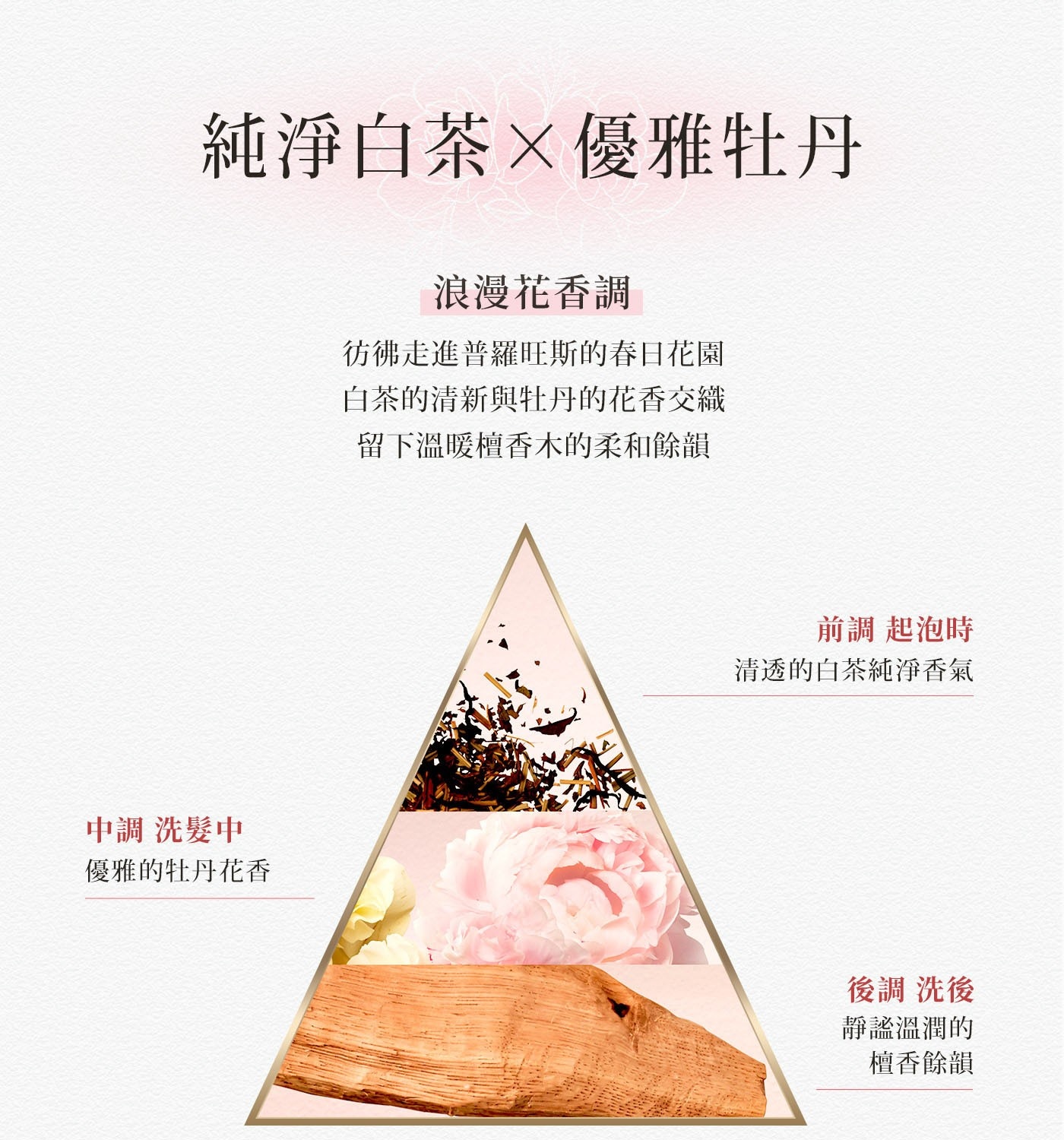 純淨白茶×優雅牡丹 浪漫花香調 彷彿走進普羅旺斯的春日花園 白茶的清...留下溫暖檀香木的柔和餘韻 中調 洗髮中 優雅的牡丹花香 前調 起泡時 清透的白茶純淨香氣 後調 洗後 靜謐溫潤的 檀香餘韻