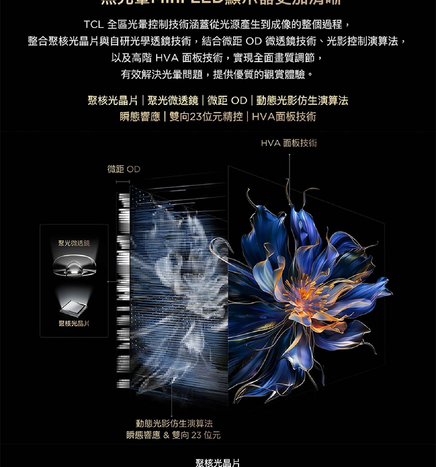 聚核光晶片|聚光微透鏡|微距 OD|動態光影仿生演算法 瞬態響應|雙向23位元精控| HVA面板技術 HVA 面板技術
