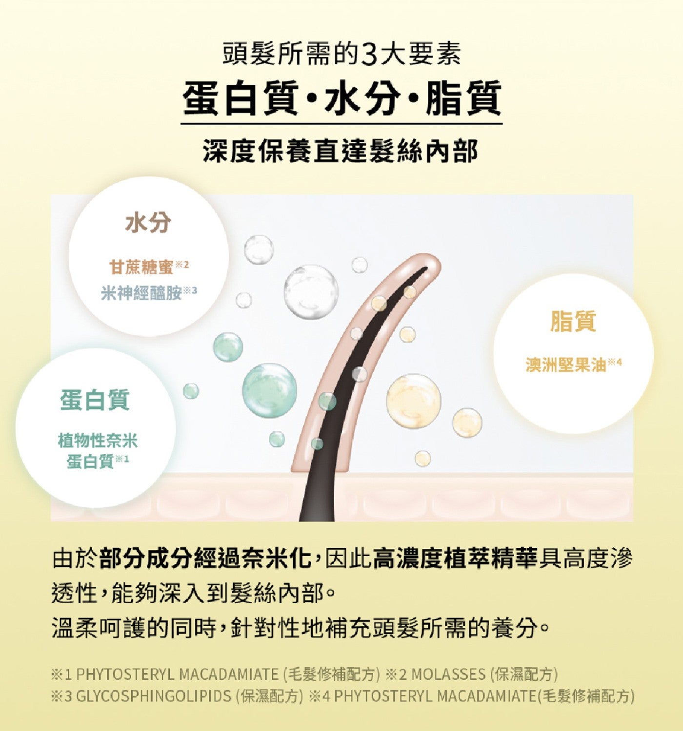 頭髮所需的 3 大要素 蛋白質水分脂質 水分 甘蔗糖蜜 2 米神經醯胺 3 蛋白質 植物性奈米 蛋白質 x1 深度保養直達髮絲內部 脂質 澳洲堅果油 由於部分成分經過奈米化,因此高濃度植萃精華具高度滲 透性...
