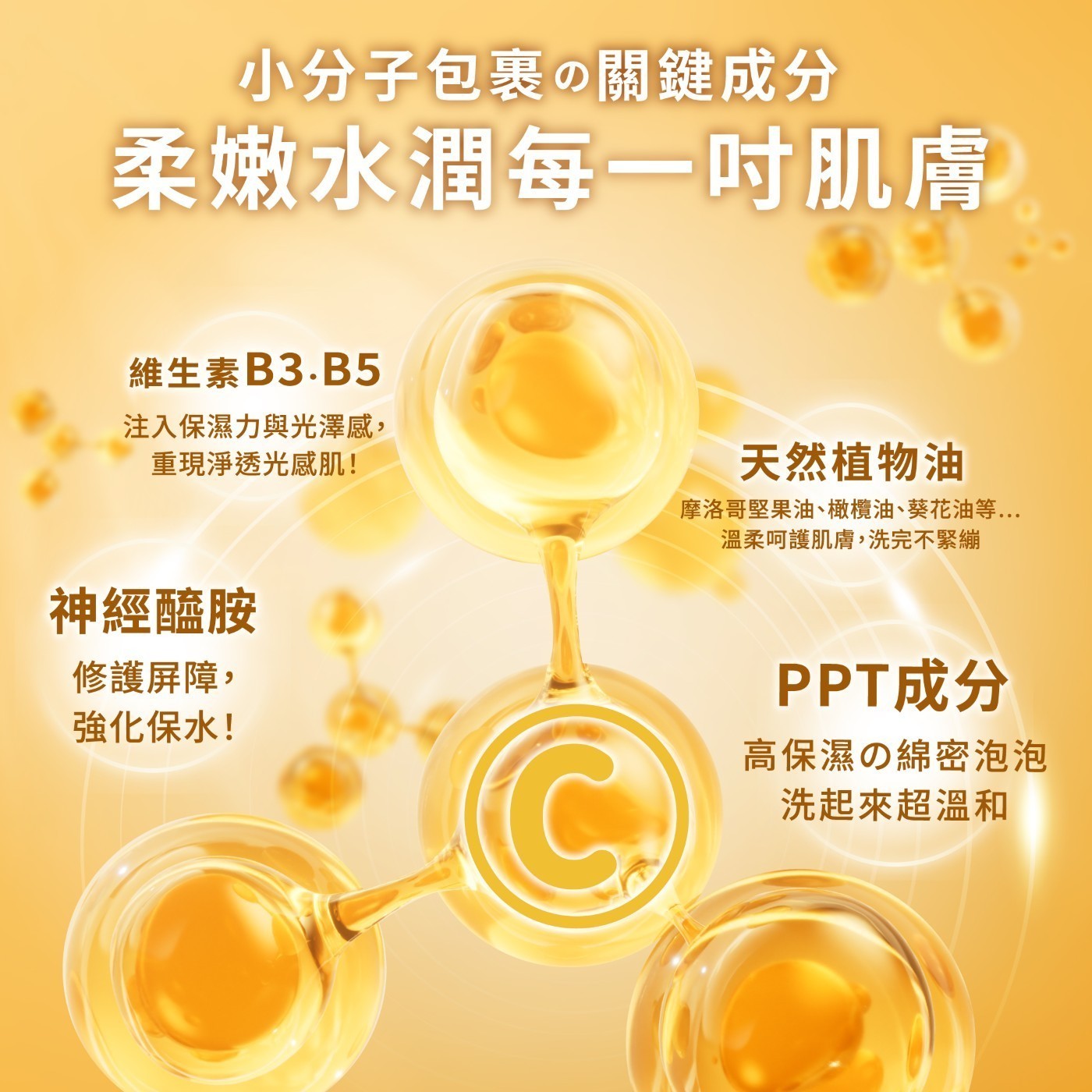 小分子包裹の關鍵成分 柔嫩水潤每1吋肌膚 維生素B3.B5 注入保濕力與光澤感, 重現淨透光感肌!