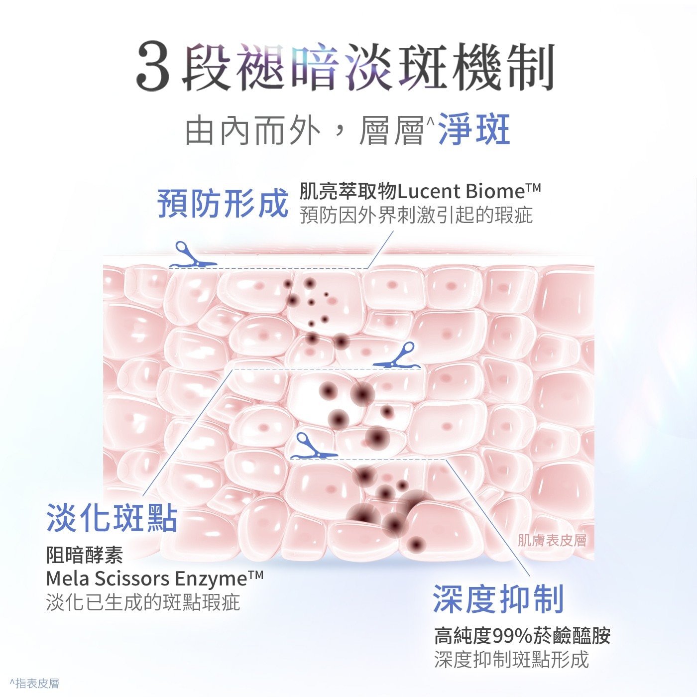 3段褪暗淡斑機制 由內而外...