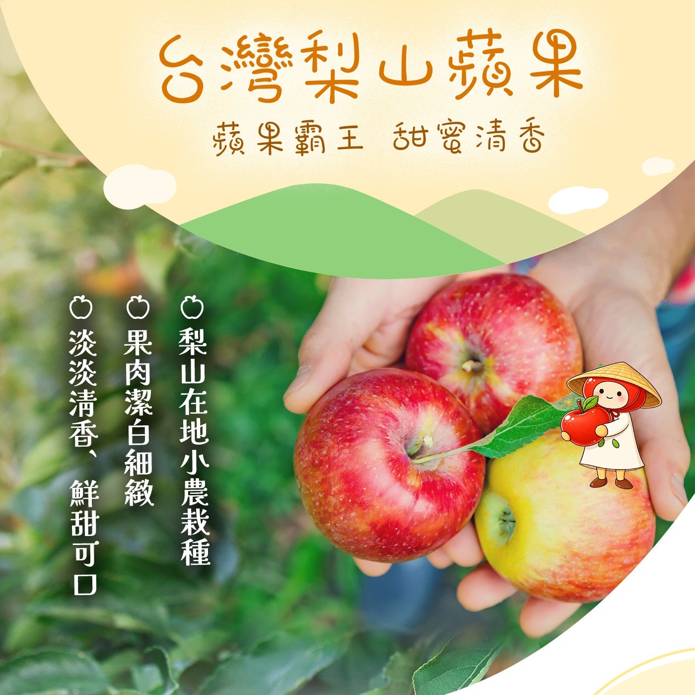 台灣梨山蘋果蘋果霸王甜蜜清香 ○梨山在地小農栽種 O 果肉潔白細緻淡淡清香、鮮甜可口