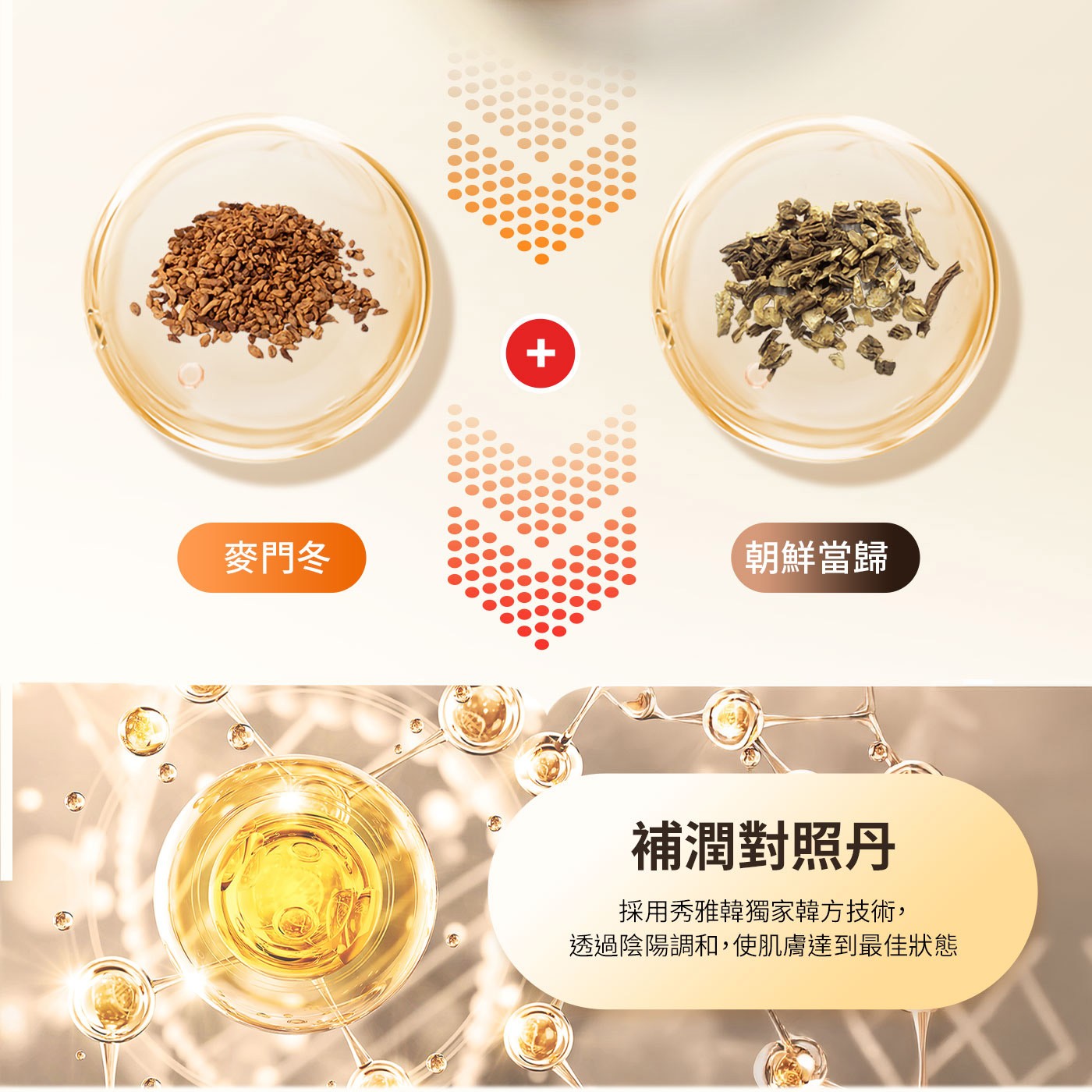 麥門冬 000 0000 + 朝鮮當歸 補潤對照 採用秀雅韓獨家韓方技術, 透過陰陽調和,使肌膚達到最佳狀態