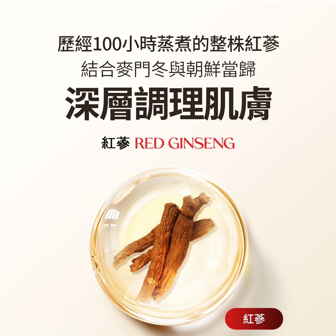 歷經100小時蒸煮的整株紅蔘 結合麥門冬與朝鮮當歸 深層調理肌膚 紅蔘 RED GINSENG