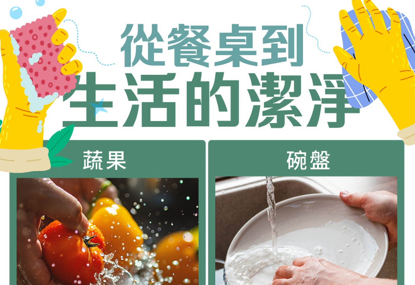 從餐桌到 生活的潔淨 蔬果 碗盤