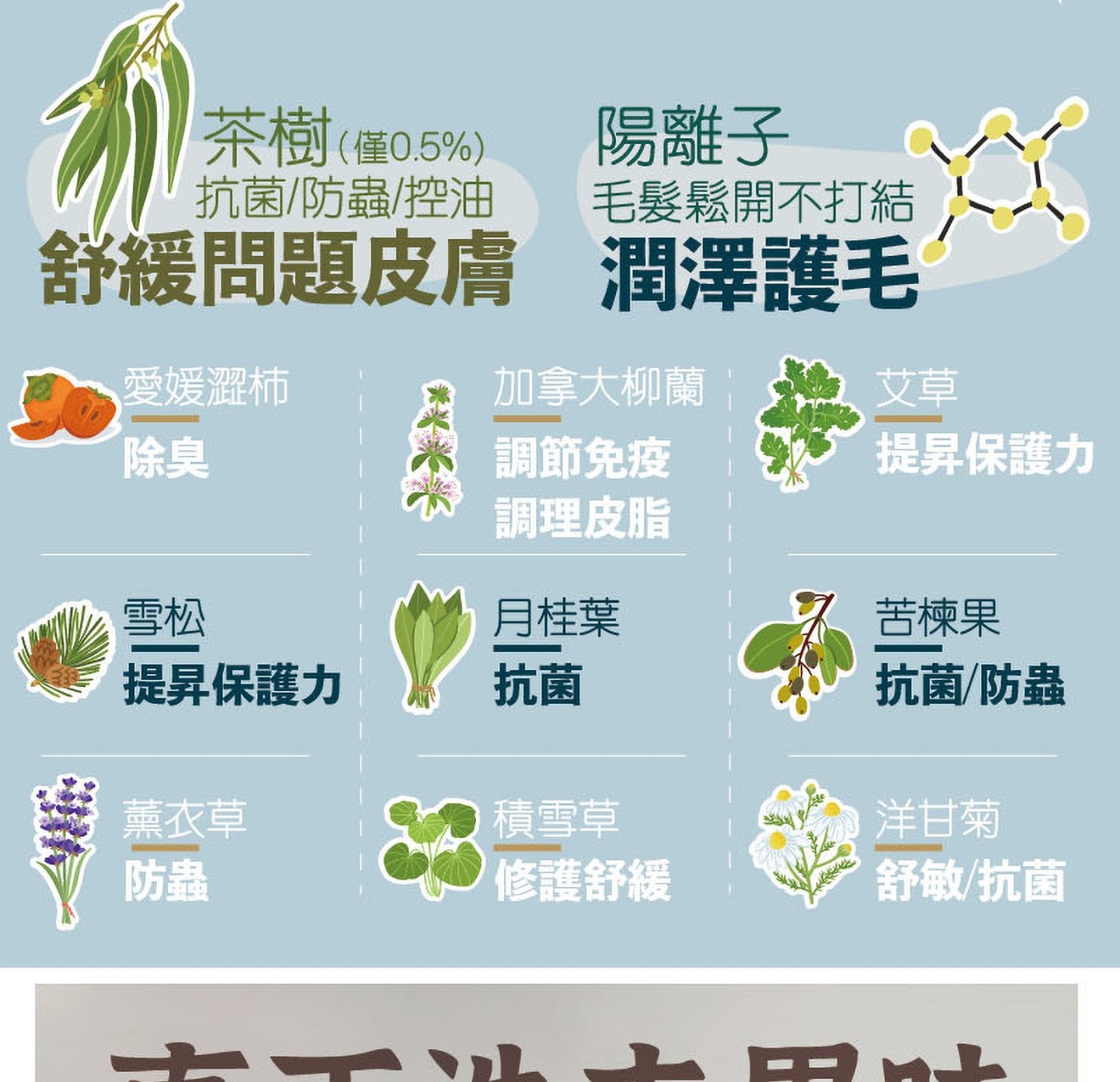 茶樹僅0.5 抗菌/防蟲/控油 舒緩問題皮膚 愛媛澀柿 除臭 陽離子 毛髮鬆開不打結 潤澤護毛