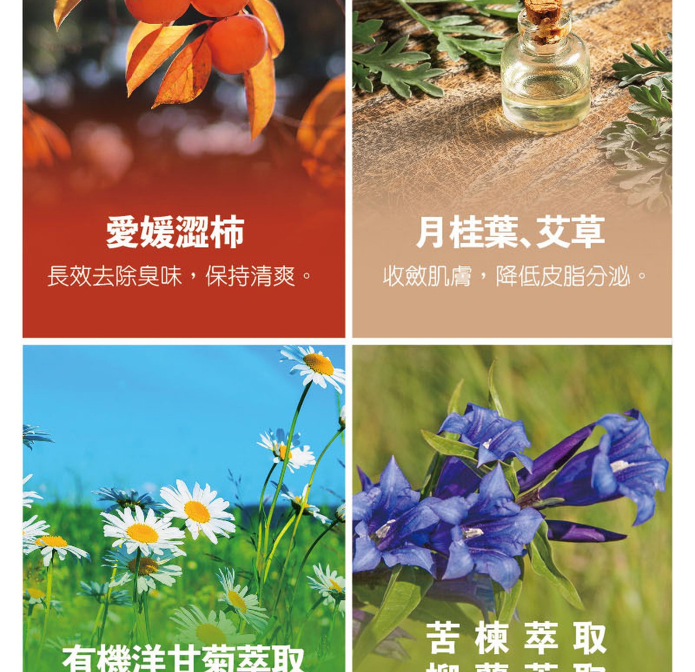 愛媛澀柿 月桂葉、艾草 長效去除臭味,保持清爽。 收斂肌膚,降低皮脂分泌。 苦楝萃取