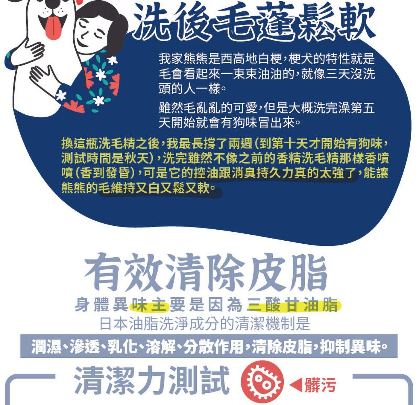 洗後毛蓬鬆軟 我家熊熊是西高地白梗,梗犬的特性就是 毛會看起來一束束油油的,就像三天沒洗