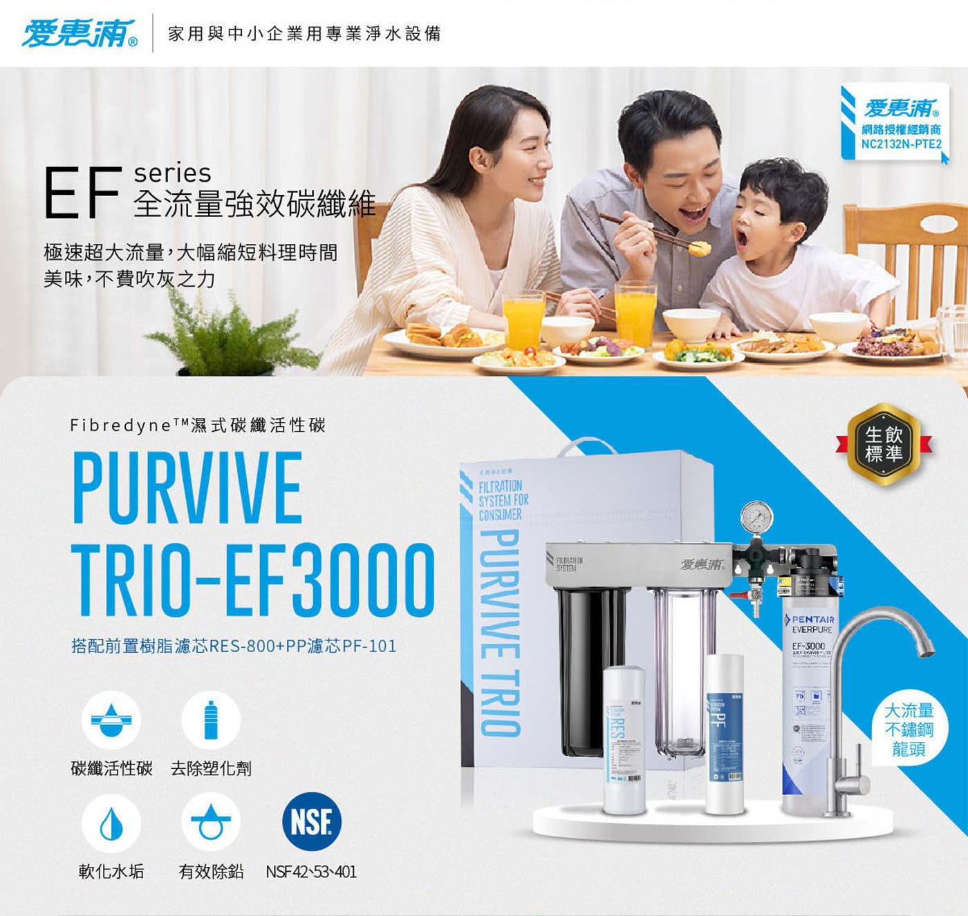 爱惠浦 家用與中小企業用專業淨水設備 series EF筌流量強效碳纖維