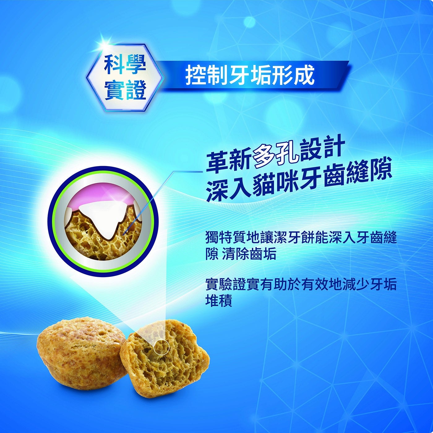 /科學 控制牙垢形成 實證 革新多孔設計 深入貓咪牙齒縫隙 獨特質地讓潔牙餅能深入牙齒縫 隙 清除齒垢 實驗證實有助於有效地減少牙垢 堆積