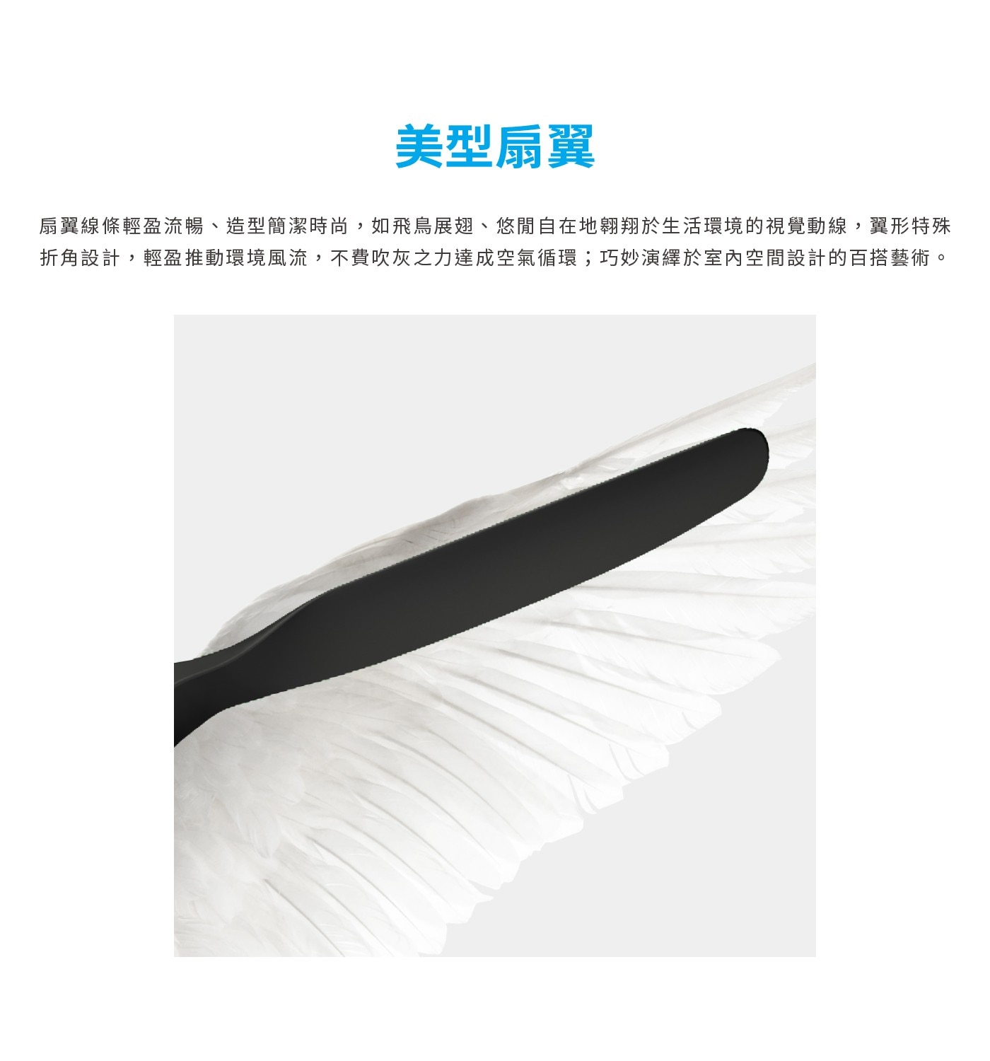 美型扇翼 扇翼線條輕盈流暢、造型簡潔時尚,如飛鳥展翅、悠閒自在地翱翔於生活環境的視覺動線,翼形特殊