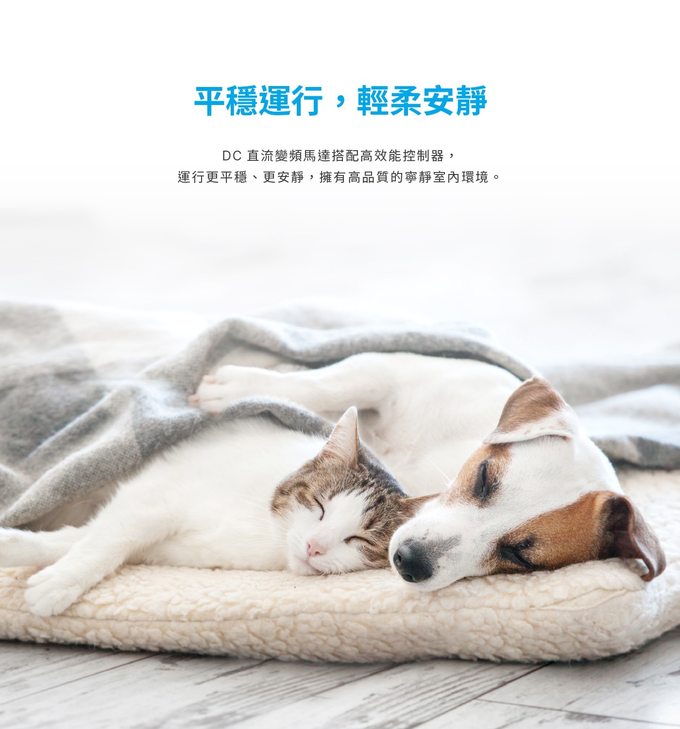 平穩運行,輕柔安靜 DC 直流變頻馬達搭配高效能控制器, 運行更平穩、更安靜,擁有高品質的寧靜室內