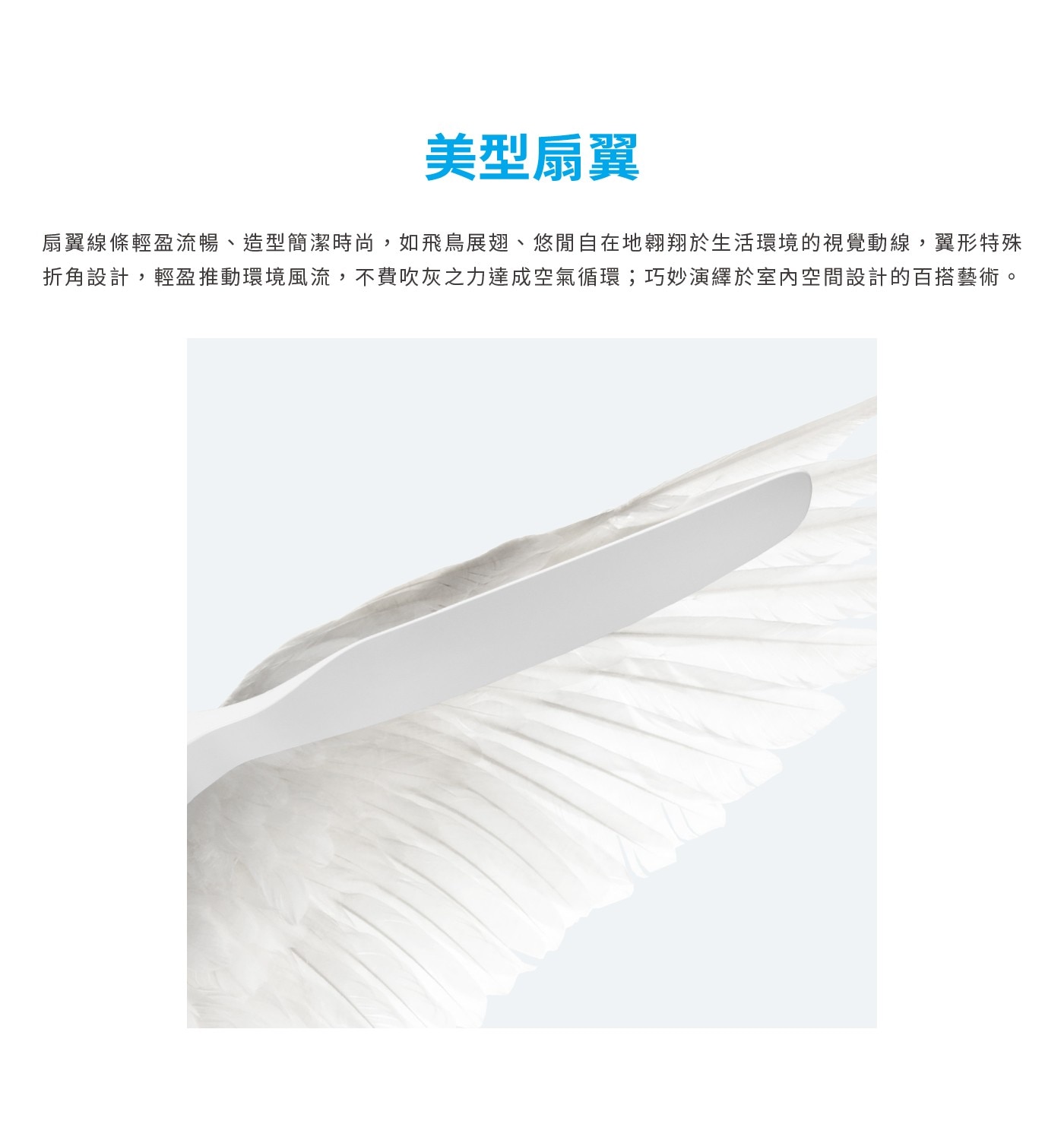 美型扇翼 扇翼線條輕盈流暢、造型簡潔時尚,如飛鳥展翅、悠閒自在地翱翔於生活環境的視覺動線,翼形特殊