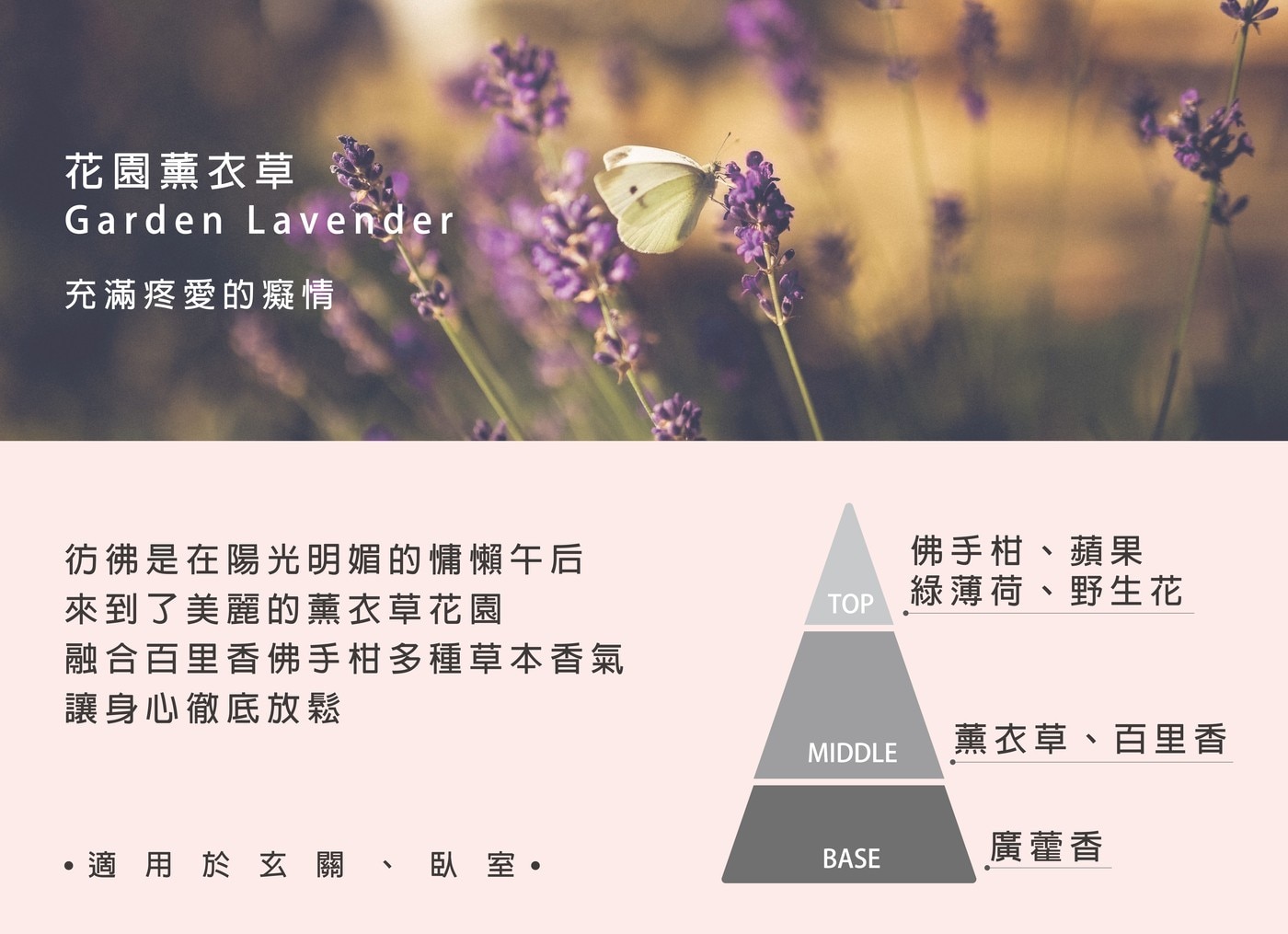 花園薰衣草 Garden Lavender 充滿疼愛的癡情 彷彿是在陽光明媚的慵懶午后