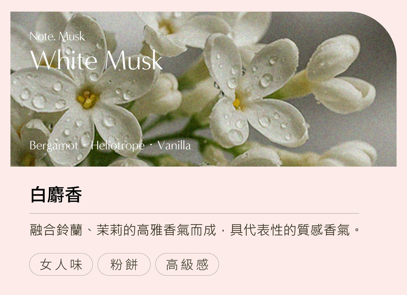 Note. Musk White Bergamot Heliotrope Vanilla 白麝香