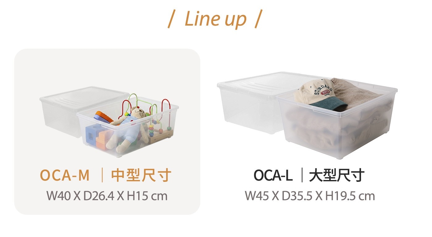 Line up 中型尺寸 cm 大型尺寸
