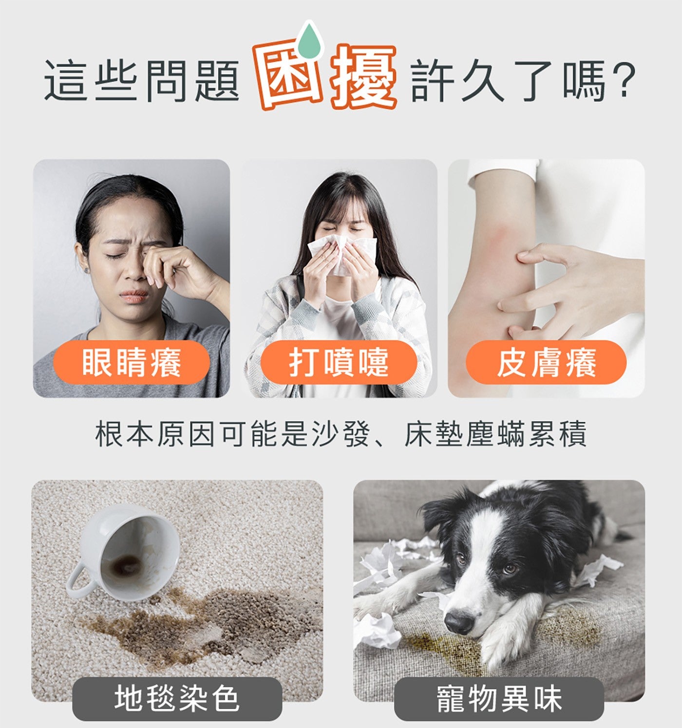 這些問題劂過許久了嗎? 眼睛癢 打噴嚏 皮膚癢 根本原因可能是沙發、床墊塵蟎累積 地毯染色 寵物異味