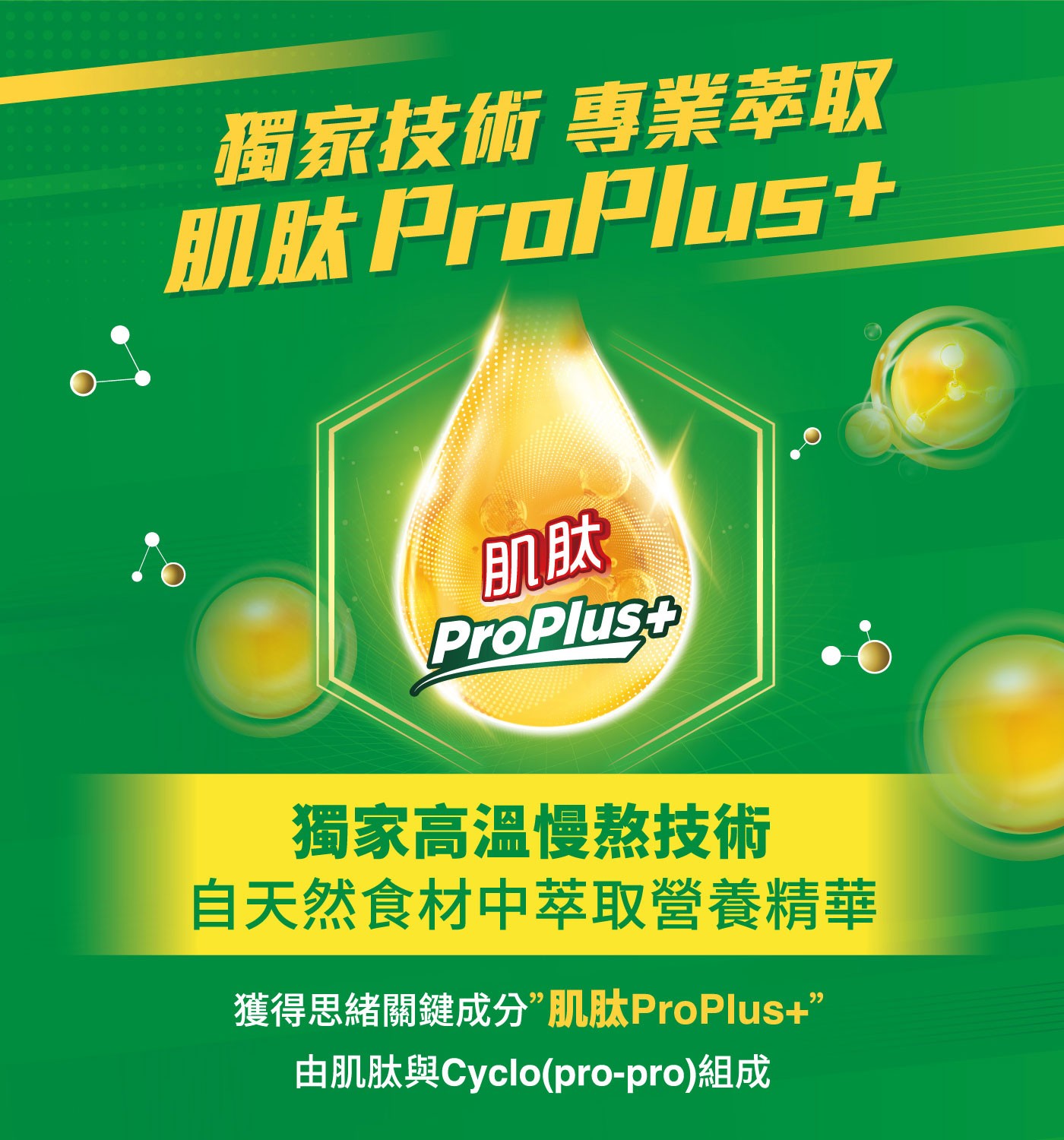 獨家技術 專業萃取 肌肽 ProPlus 獨家高溫慢熬技術 自天然食材中萃取營養精華 獲得思緒關鍵成分肌肽ProPlus 由肌肽與Cyclopro-pro組成