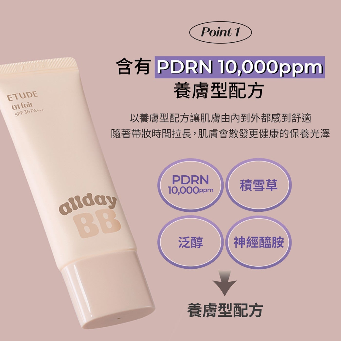 養膚型配方 以養膚型配方讓肌膚由內到外都感到舒適 隨著帶妝時間拉長,肌膚會散發更健康的保養光澤 allday BB PDRN 積雪草 泛醇 神經醯胺