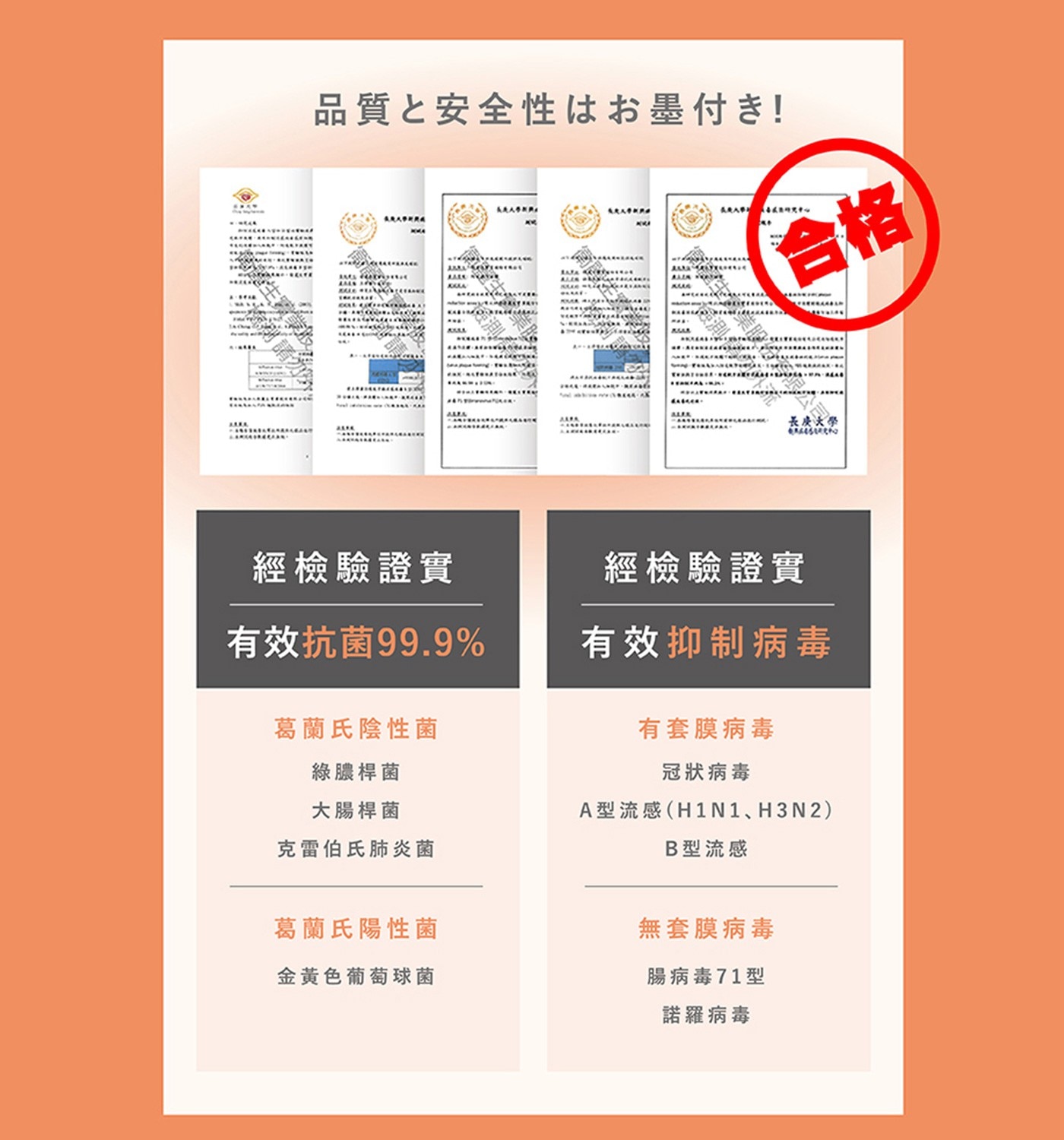 AREA 品質と安全性はお墨付き! GRADERA ALEN RANG ARA AXIO 合格