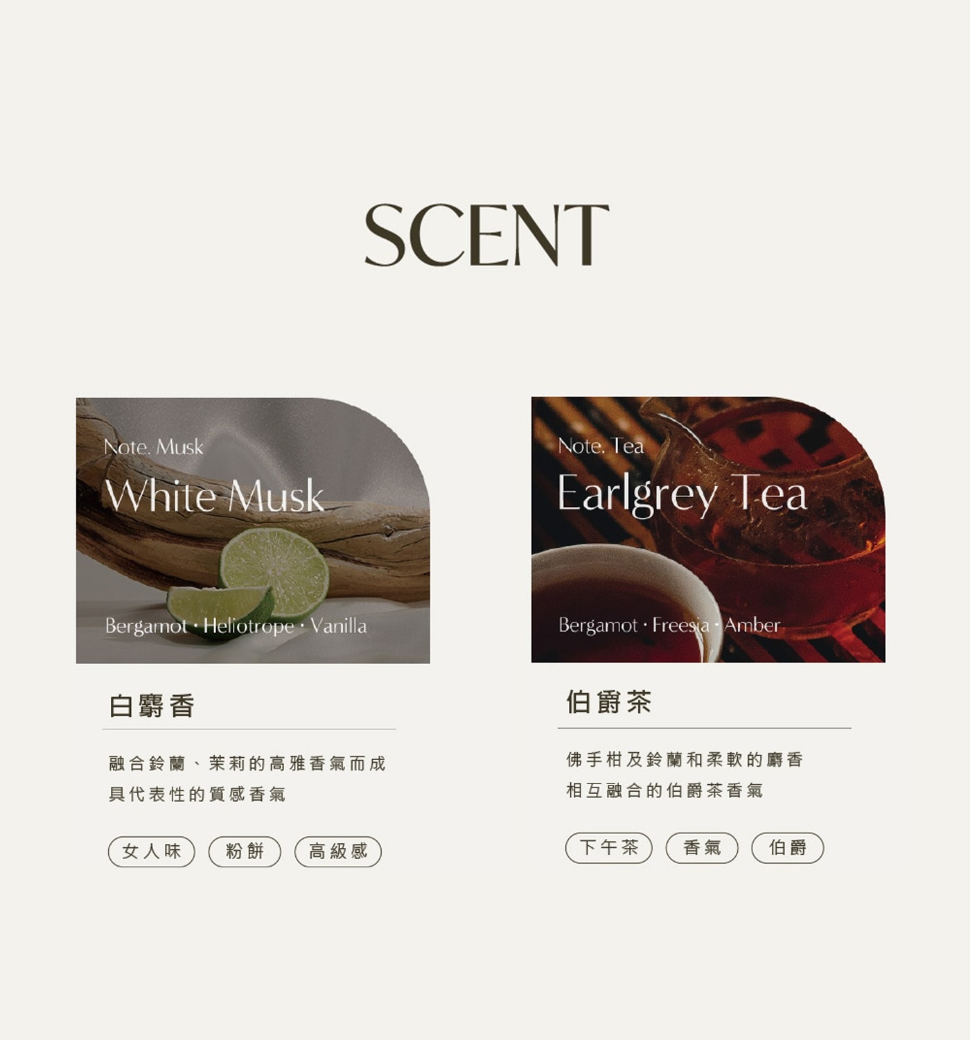 SCENT Musk White Tea Earlgrey Bergamot Heliotrope Vanilla Freesia Amber 白麝香 融合鈴蘭...