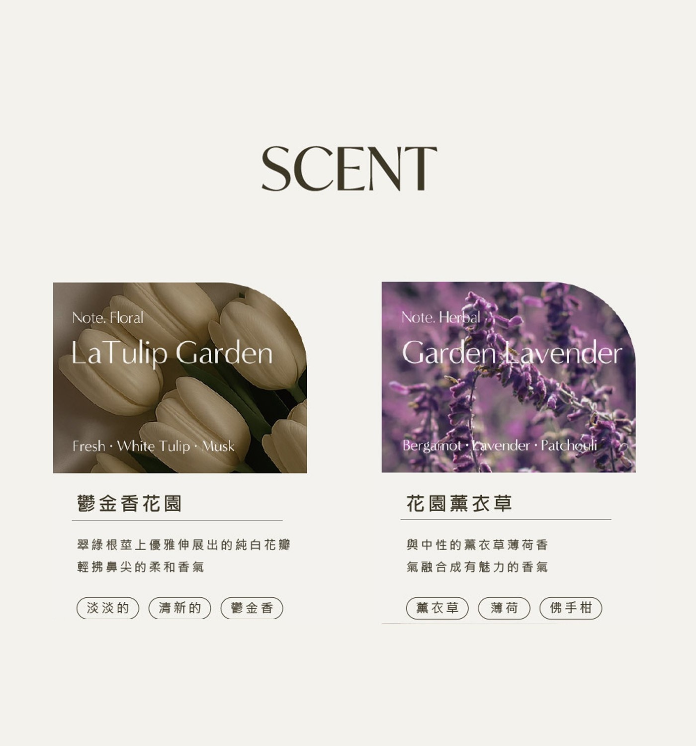 SCENT Floral LaTulip Garden Herbal Lavender FreshWhite Tulip Musk 鬱金香花園 翠綠根莖上優雅伸展出的純白花瓣 輕拂鼻尖的柔和香氣...
