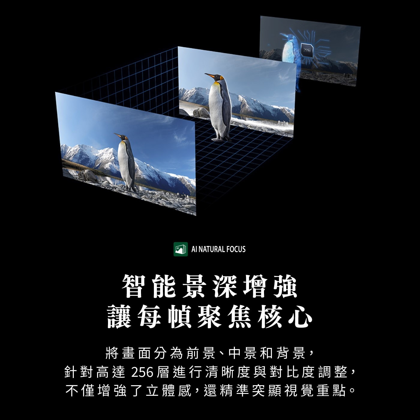 AI NATURAL FOCUS ZR1 智能景深增強 讓每幀聚焦核心 將畫面分為前景、中景和背景, 針對高達 256層進行清晰度與對比度調整, 不僅增強了立體感,還精準突顯視覺重點。