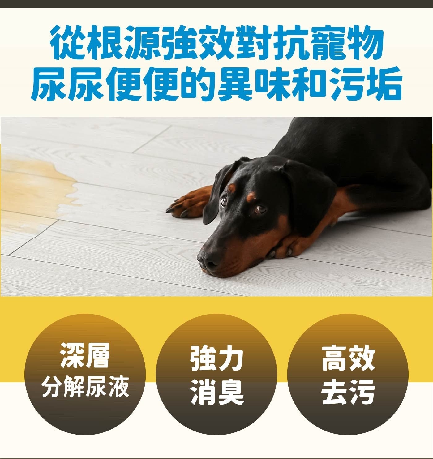 從根源強效對抗寵物 尿尿便便的異味和污垢 深層 強力 高效 分解尿液 消臭 去污
