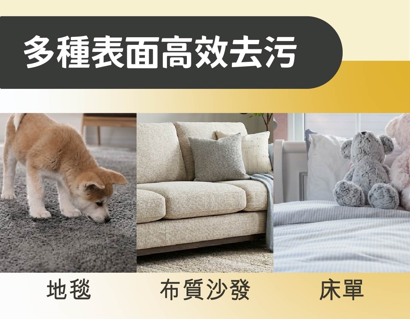 多種表面高效去污 地毯 布質沙發 床單