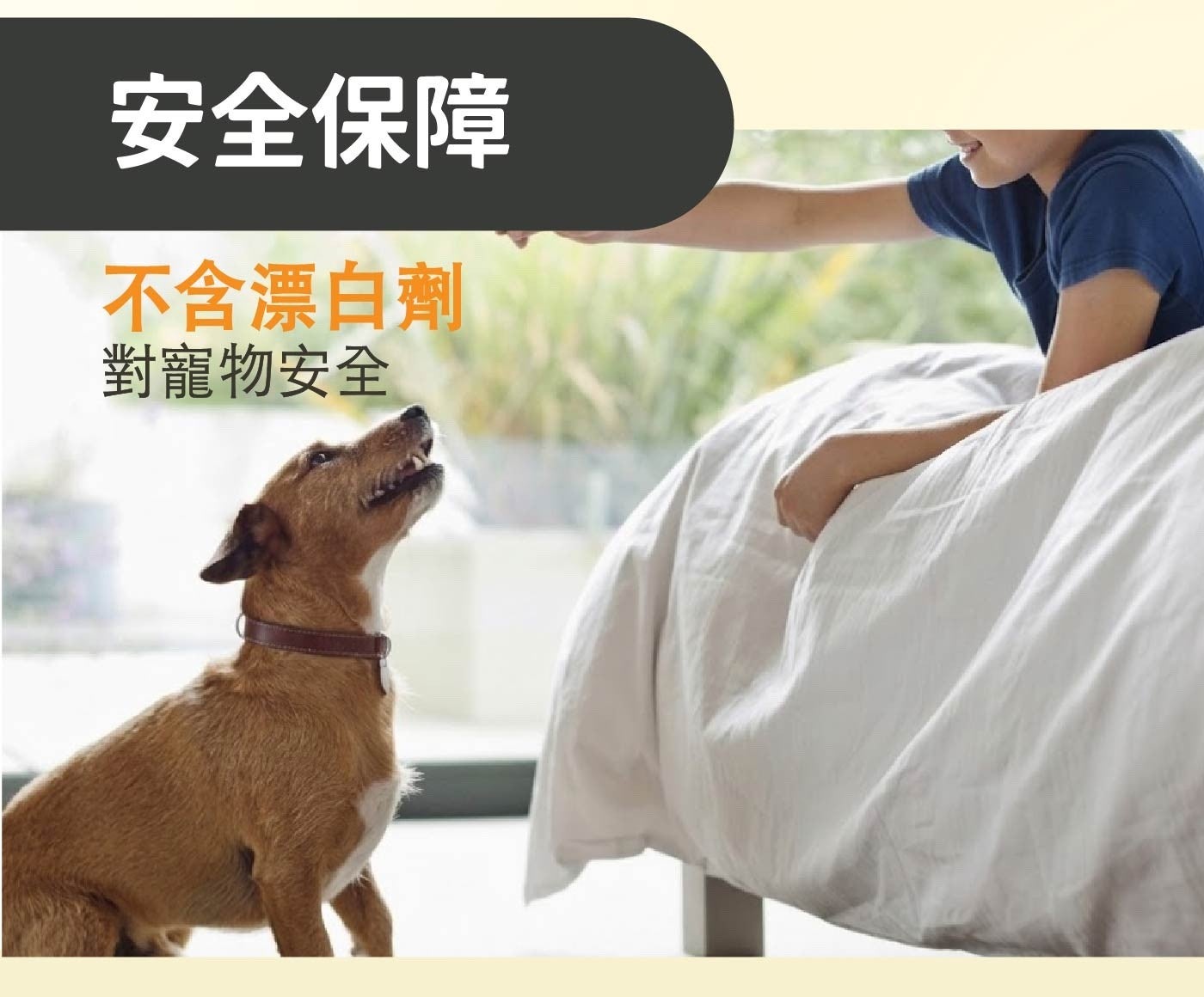 安全保障 不含漂白劑 對寵物安全