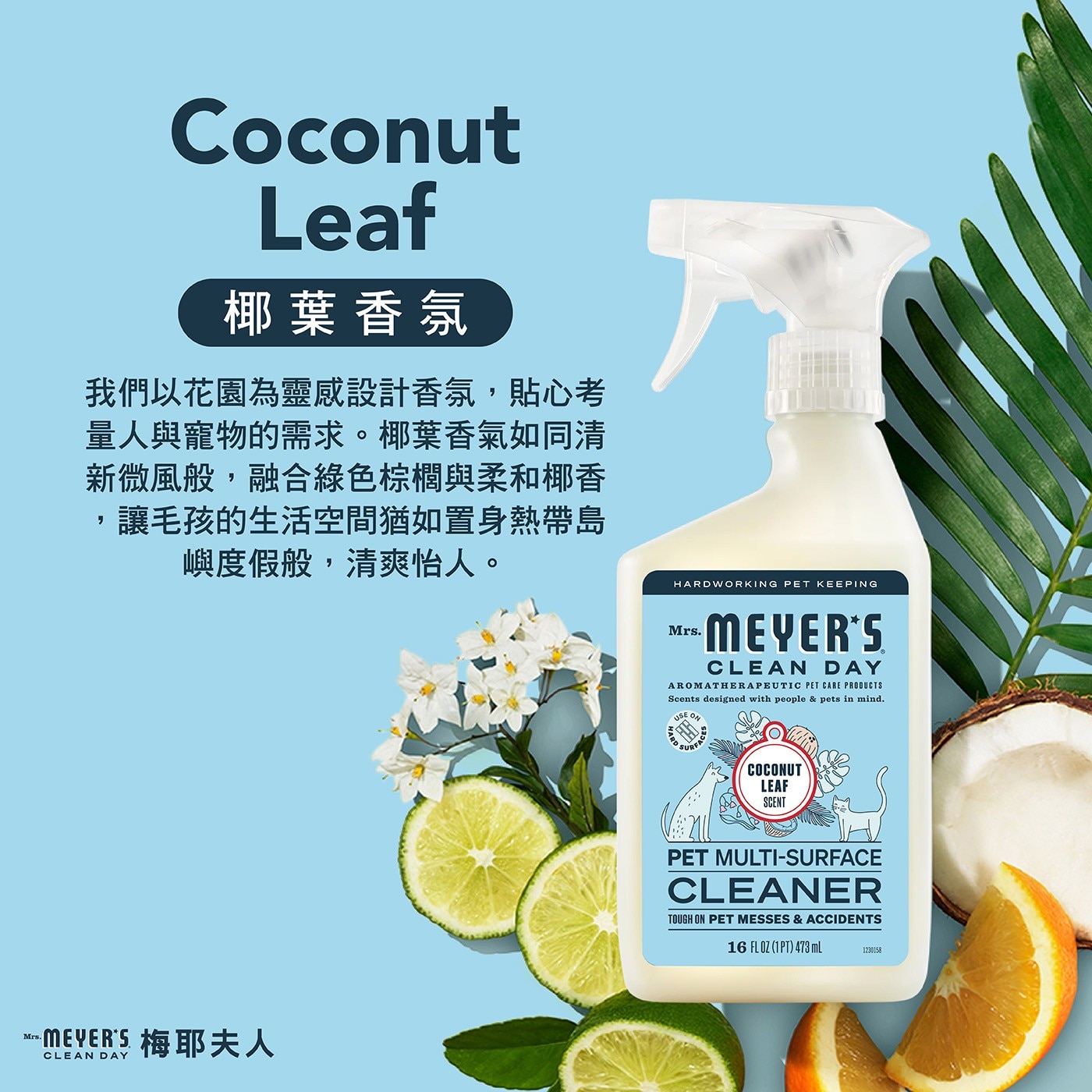 Coconut Leaf 椰葉香氛 我們以花園為靈感設計香氛,貼心考 量人與寵物的需求。椰葉香氣如同清 新微風般,融合綠色棕櫚與柔和椰香 ,讓毛孩的生活空間猶如置身熱帶島 嶼度假般,清爽怡人。