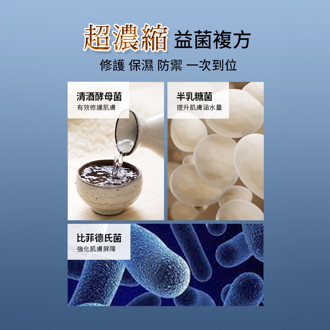 超濃縮 益菌複方 修護保濕防禦1次到位 清酒酵母菌 半乳糖菌 有效修護肌膚 提升肌膚涵水量 比菲德氏菌 強化肌膚屏障