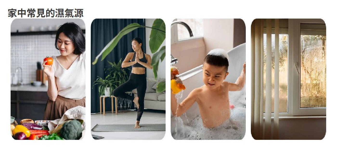 家中常見的濕氣源