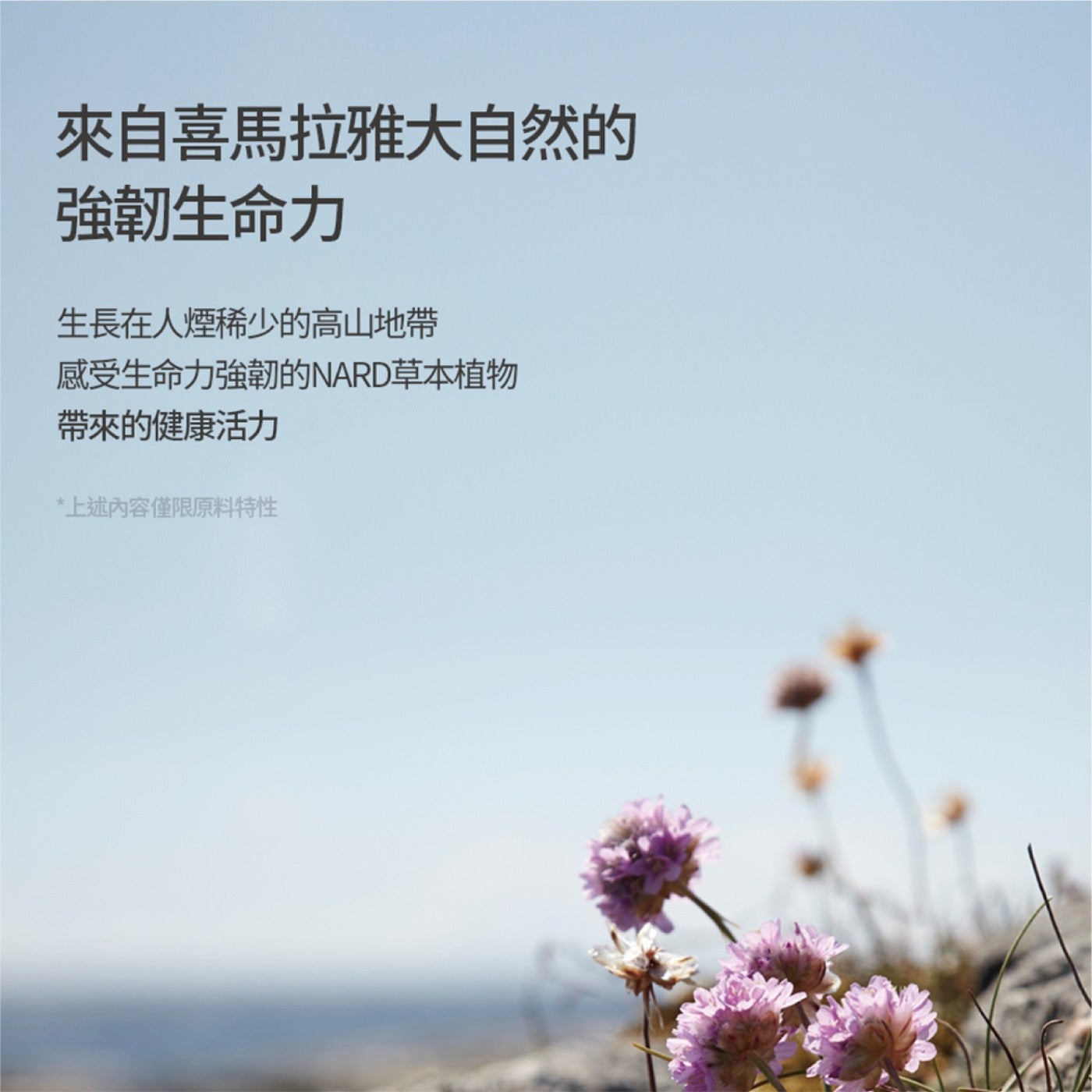 來自喜馬拉雅大自然的強韌生命力生長在人煙稀少的高山地帶感受生命力強韌的NARD草本植物帶來的健康活力上述內容僅限原料特性