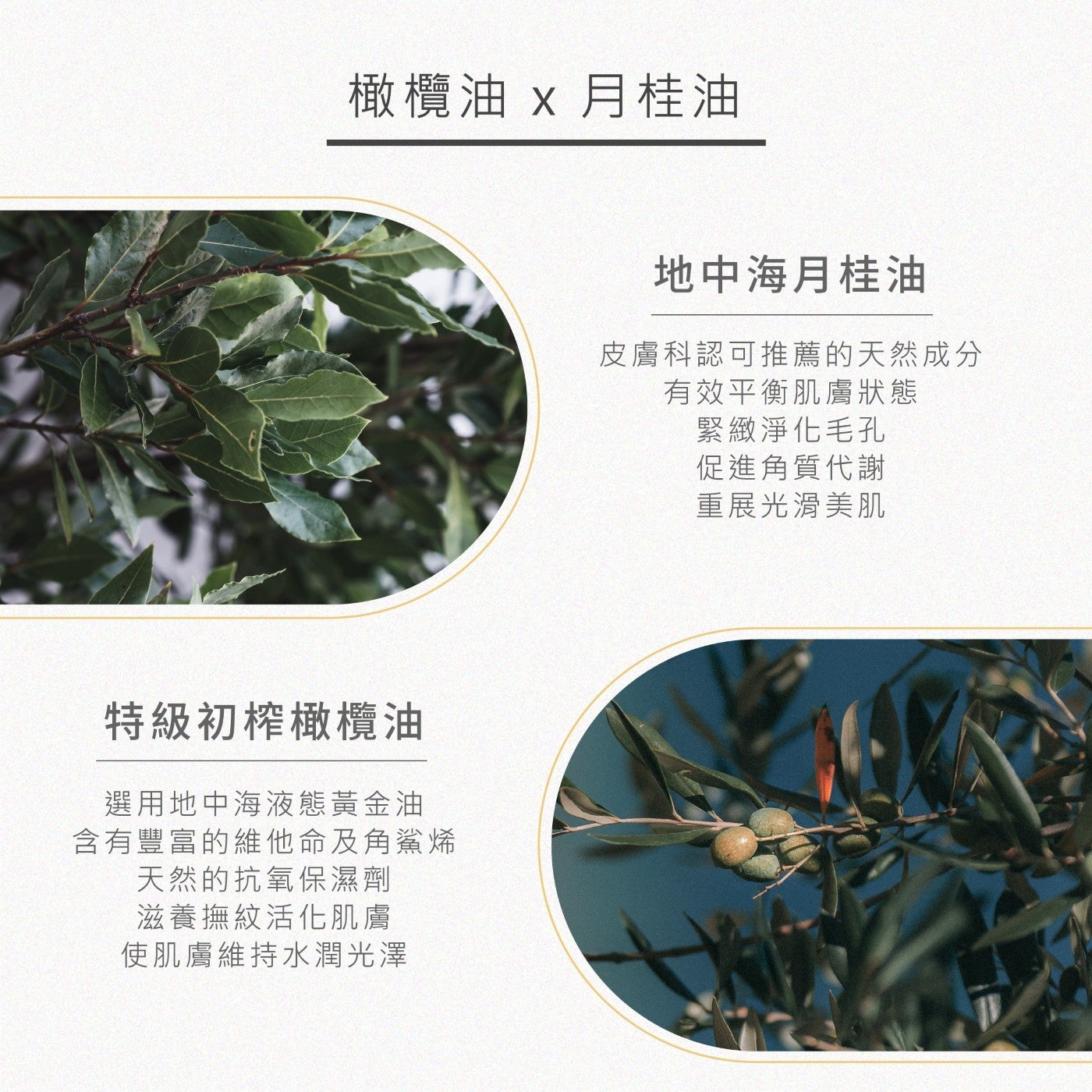 橄欖油 x 月桂油特級初榨橄欖油選用地中海液態黃金油含有豐富的維他命及角鯊烯天然的抗氧保濕劑滋養撫紋活化肌膚使肌膚維持水潤光澤地中海月桂油皮膚科認可推薦的天然成分有效平衡肌膚狀態緊緻淨化毛孔促進角質代謝重展光滑美肌