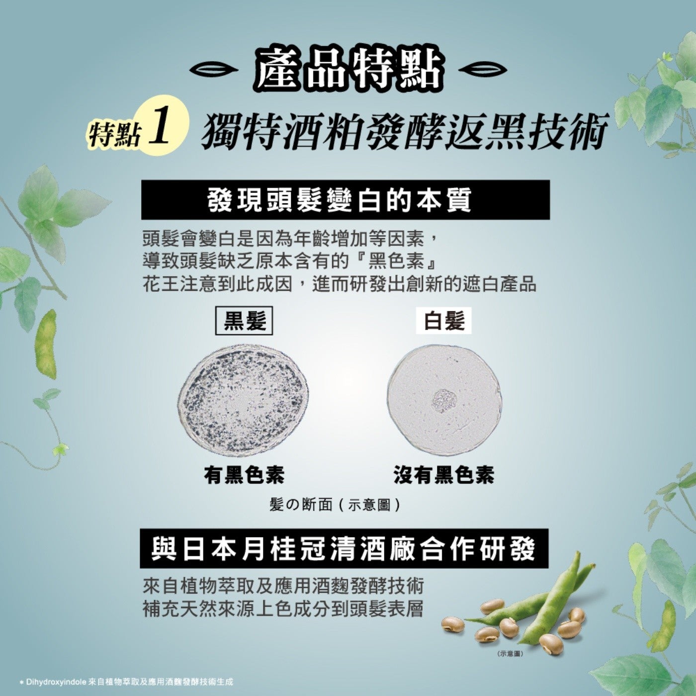 產品特點特點1 獨特酒粕發酵返黑技術發現頭髮變白的本質頭髮會變白是因為年齡增加等因素, 導致頭髮缺乏原本含有的『黑色素』 花王注意到此成因...