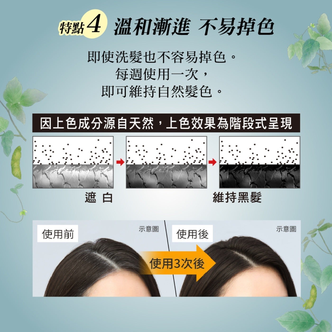 特點4 溫和漸進不易掉色即使洗髮也不容易掉色每週使用一次, 即可維持自然髮色因上色成分源自天然,上色效果為階段式呈現使用前遮白維持黑髮示意圖使用後使用3次後示意圖