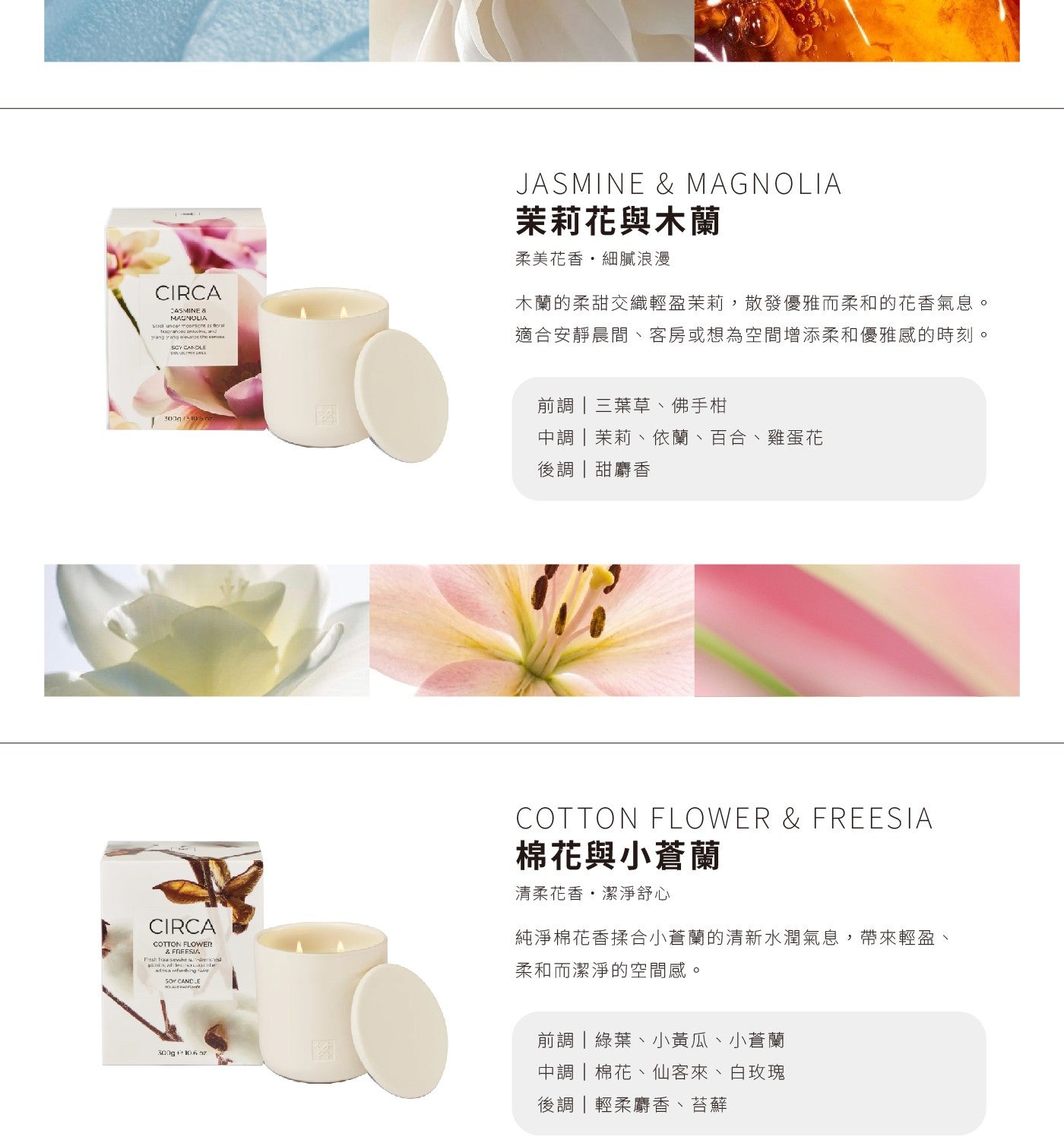 JASMINE MAGNOLIA 茉莉花與木蘭 柔美花香,細膩浪漫 木蘭的柔甜交織輕盈茉莉,散發優雅而柔和的花香氣息 適合安靜展間客房或想為空間增添柔和優雅感的時刻 前網3 葉草佛手柑 中調茉莉依蘭百合雞蛋花 後調甜麝香