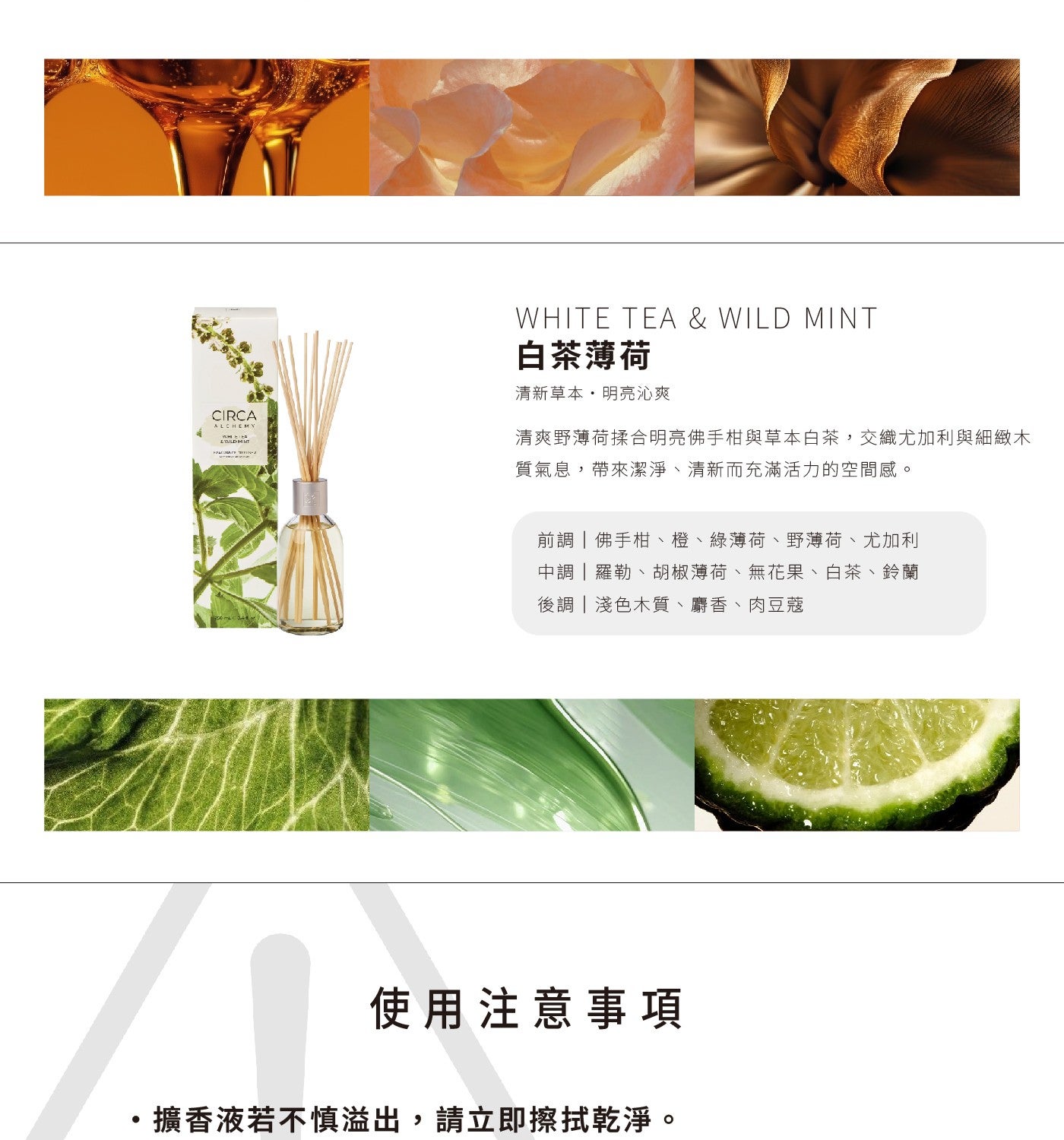 WHITE TEA WILD MINT 白茶薄荷 清新草本明亮沁爽 CIRCA ALCHEMY 清爽野薄荷揉合明亮佛手柑與草本白茶,交織尤加利與細緻木 質氣息,帶來潔淨清新而充滿活力的空間感
