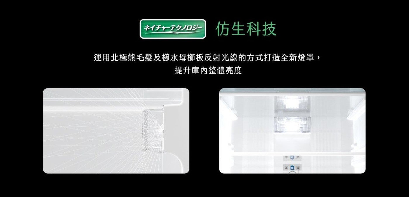 一ク扣仿生科技運用北極熊毛髮及櫛水母櫛板反射光線的方式打造全新燈罩, 提升庫內整體亮度