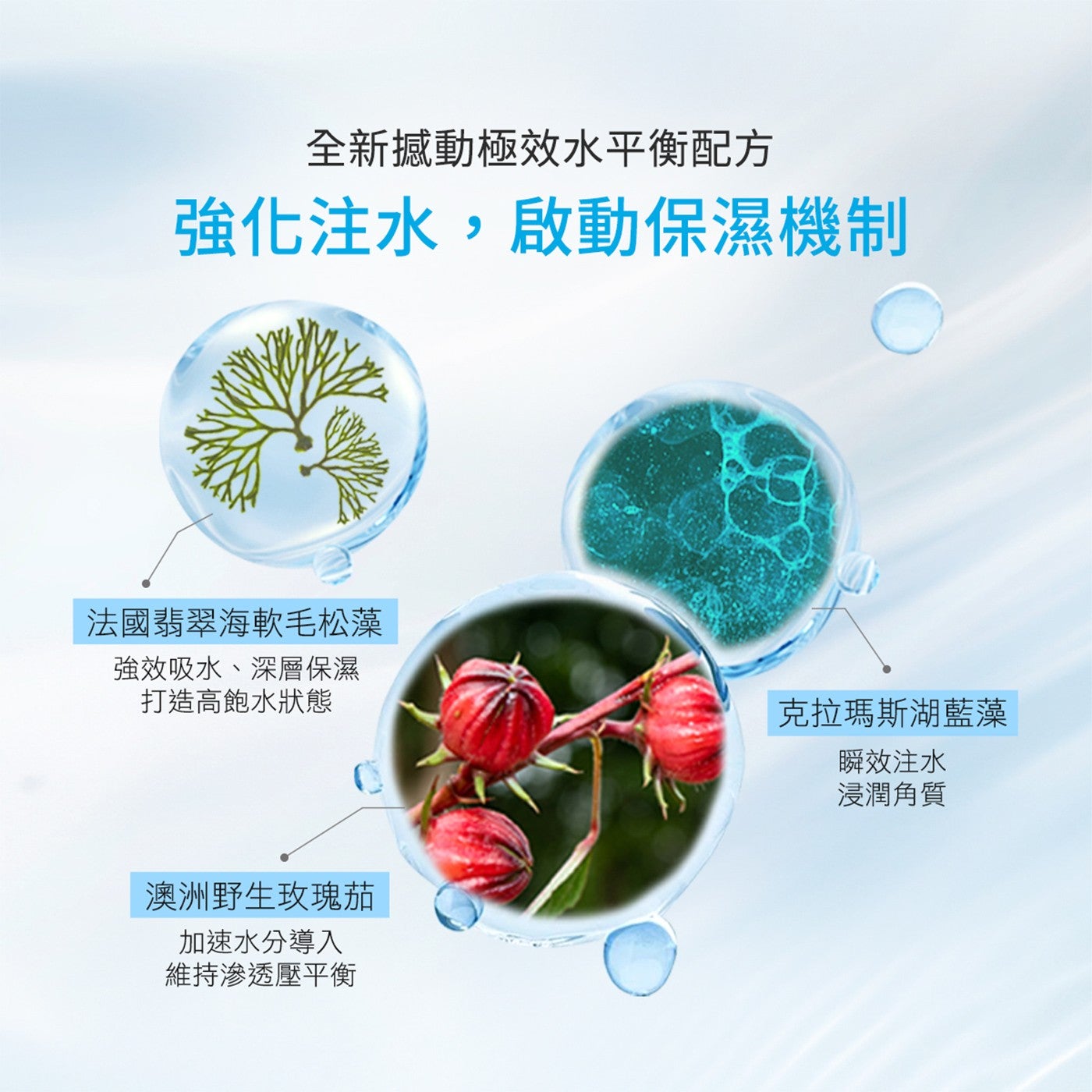 全新撼動極效水平衡配方強化注水,啟動保濕機制法國翡翠海軟毛松藻強效吸水、深層保濕打造高飽水狀態克拉瑪斯湖藍藻瞬效注水浸潤角質澳洲野生玫瑰茄加速水分導入維持滲透壓平衡