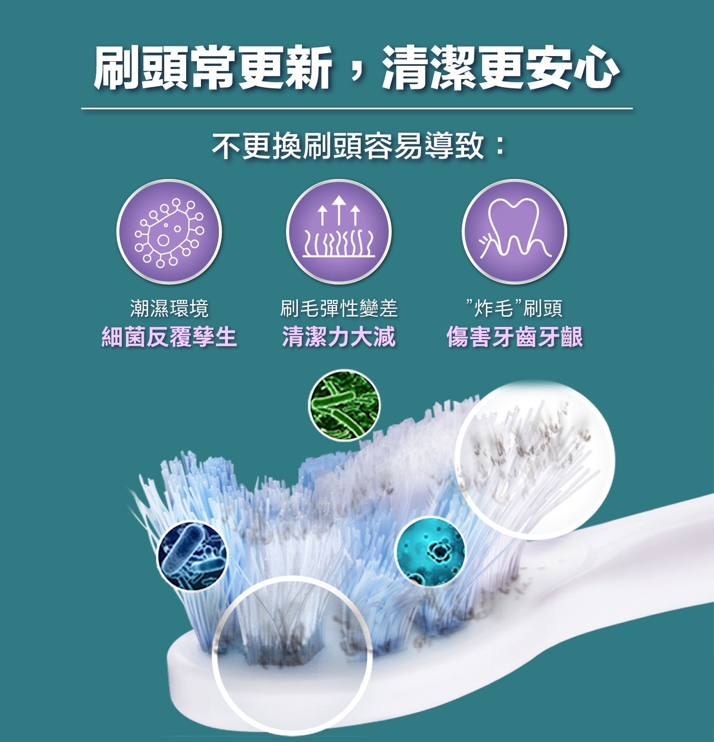 刷頭常更新,清潔更安心不更換刷頭容易導致: 个个个潮濕環境細菌反覆孳生刷毛彈性變差清潔力大減炸毛刷頭傷害牙齒牙齦
