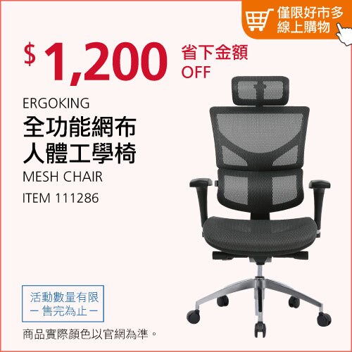ERGOKING 全功能網布人體工學椅