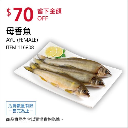 母香魚